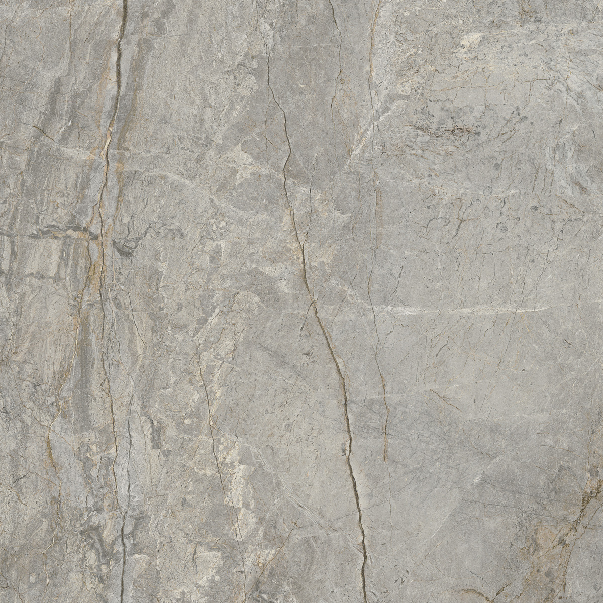 Marble Lab Silver Root 1 -silver root